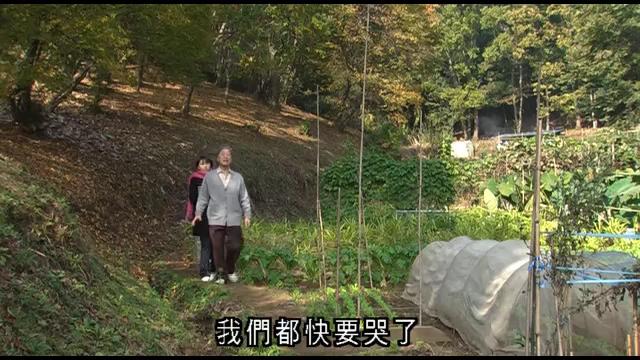 http://www.119127.cn/pics/default/download/4bf55d105e2facfabafbaa466705c1a1.jpg