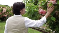 曲泉丞《嫁妝一千萬》先導(dǎo)片