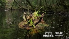 中文版先行預告片
