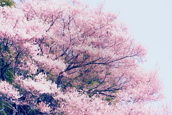 http://www.119127.cn/pics/default/download/4e7a3d69b6a8d23e9a765c42b5b03688.jpg