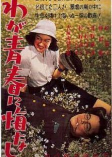 我對(duì)青春無(wú)悔