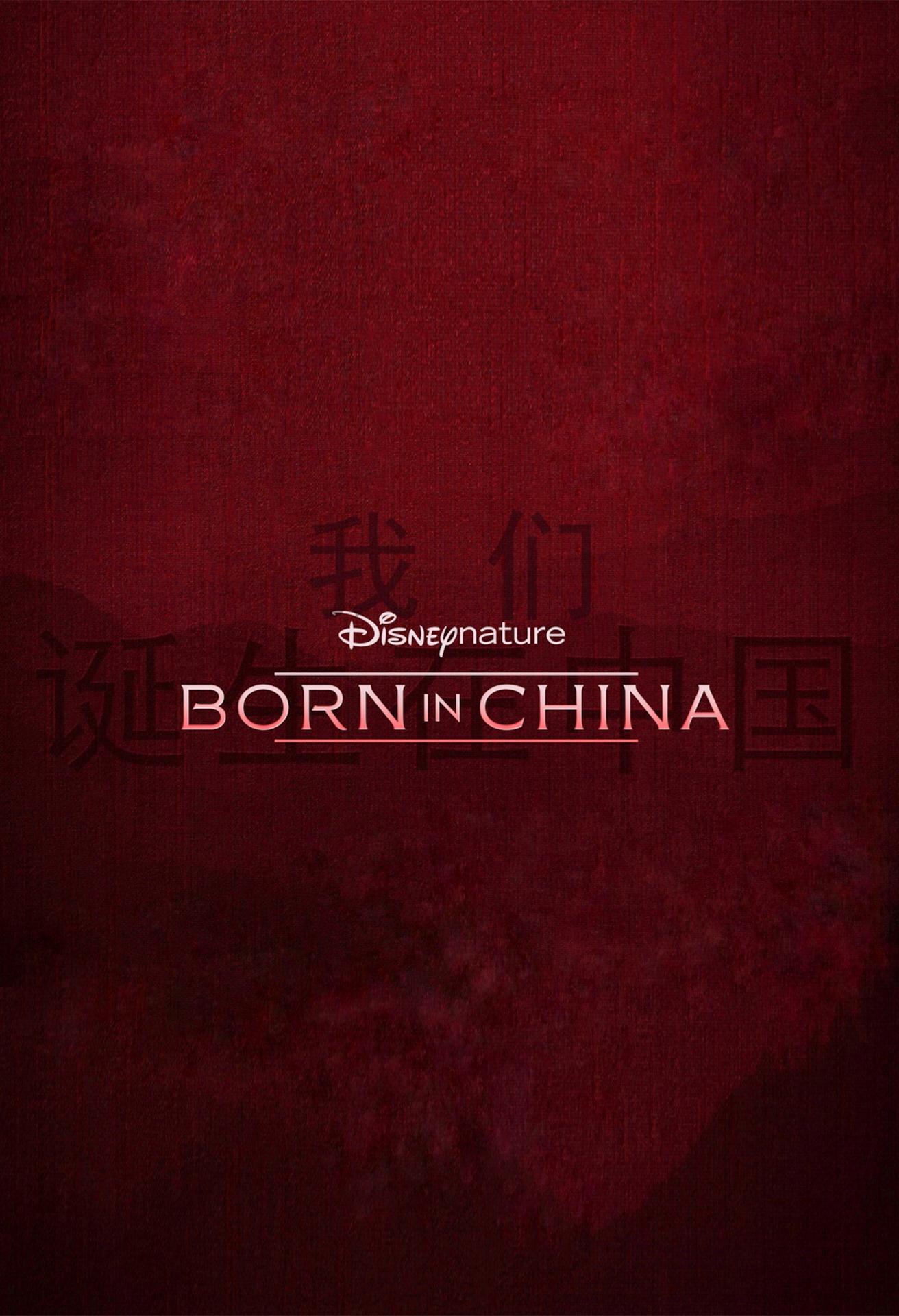 http://www.119127.cn/pics/default/download/4ffb8f12070cf9f60c9df778a962bfd2.jpg