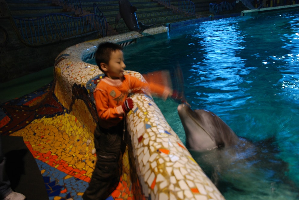 http://www.119127.cn/pics/default/download/505288e325c44ea516974d8f20846563.jpg