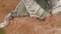 問世間情為何物，只叫人生死相隨