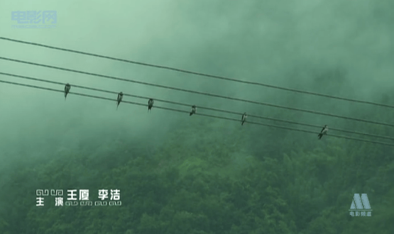 http://www.119127.cn/pics/default/download/51fd26b28c211351c07e07cc05818328.jpg
