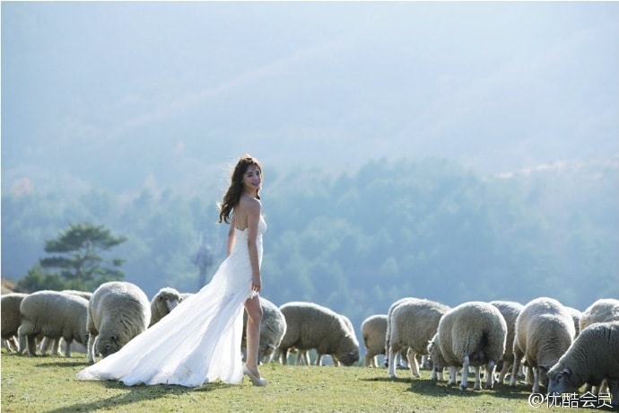http://www.119127.cn/pics/default/download/536a7be0edaf2daf55aed26494a49aaa.jpg