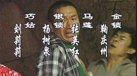 毛阿敏 不白活一回 電視劇《古船女人和網(wǎng)》片尾曲_標(biāo)清
