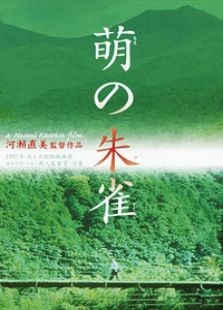 萌動的朱雀