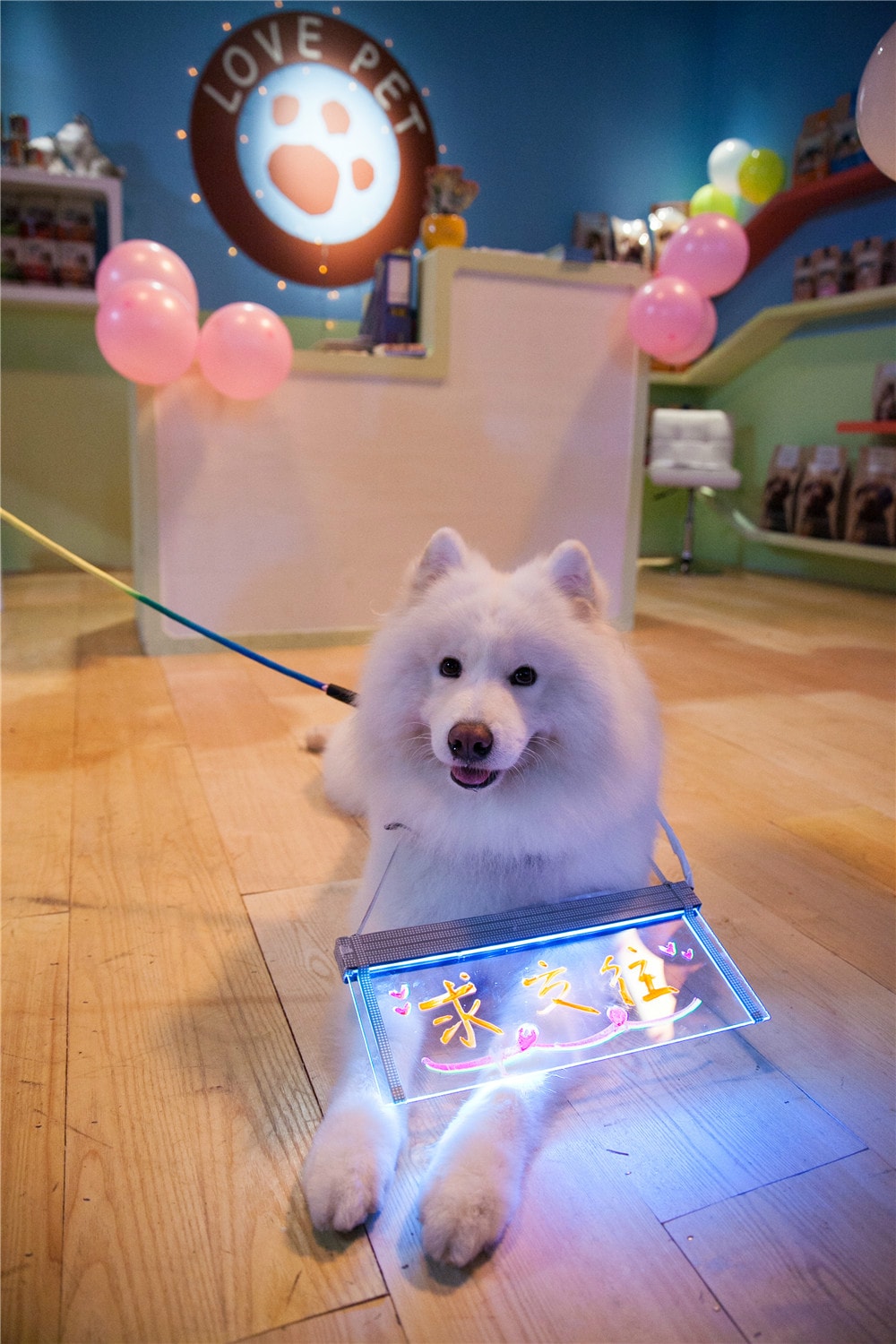 http://www.119127.cn/pics/default/download/556bd0b1f0c4072d93d02bb448a15023.jpg