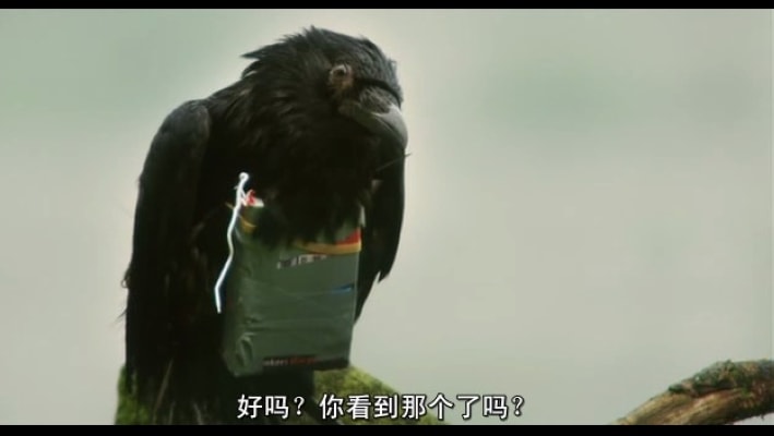 http://www.119127.cn/pics/default/download/559a00d2e227d03d01f8d64e6195e639.jpg