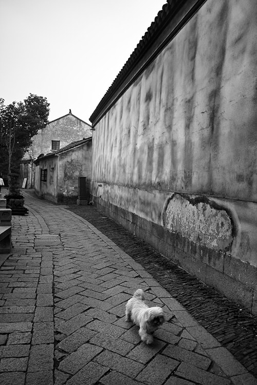 http://www.119127.cn/pics/default/download/56bc4084069689a5766d157c4a26b90e.jpg