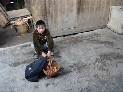 http://www.119127.cn/pics/default/download/56ffb2a75b5129b240f812c77f10d68c.jpg