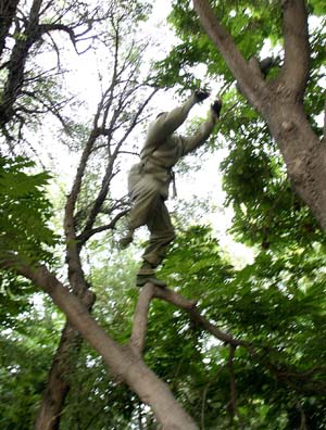 http://www.119127.cn/pics/default/download/586f/65f1a183691680a96908a9f2a347.jpg
