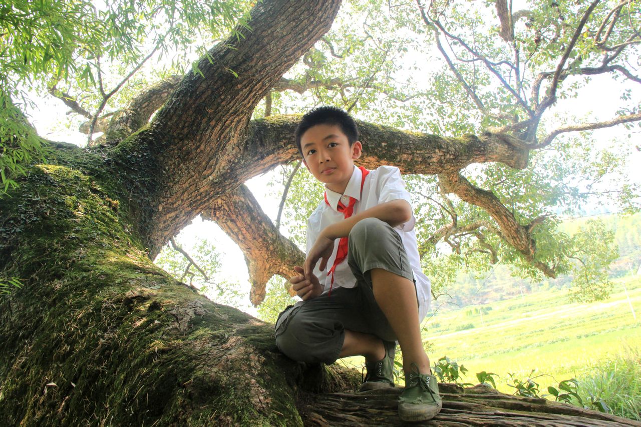 http://www.119127.cn/pics/default/download/58a56d0193def0db6ee54fbf184763a1.jpg