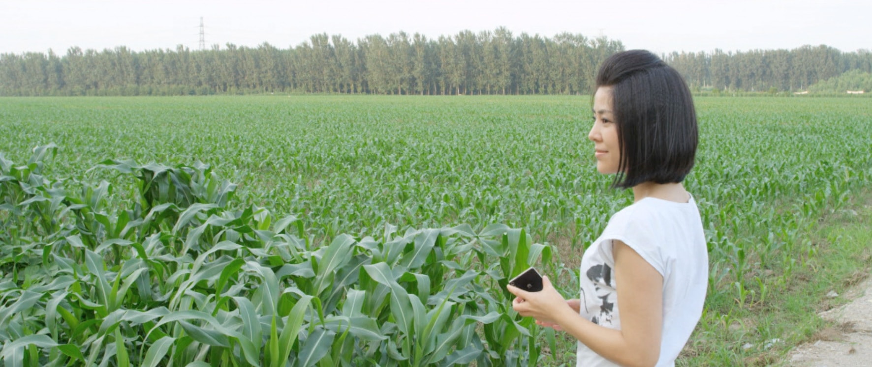 http://www.119127.cn/pics/default/download/591e3c96f9f031815fdb76d61c6de33d.jpg