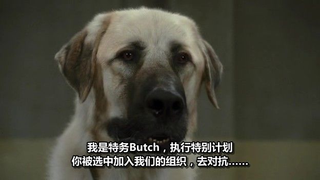 http://www.119127.cn/pics/default/download/5a2533cdda5f3223aa8093e22cb9cbd4.jpg