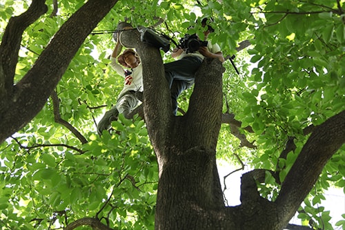 http://www.119127.cn/pics/default/download/5aab7f66607b491acb7f375218048a6b.jpg