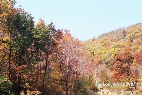 http://www.119127.cn/pics/default/download/5ab631e4f3e5d5798a77abcdffd31a8d.jpg