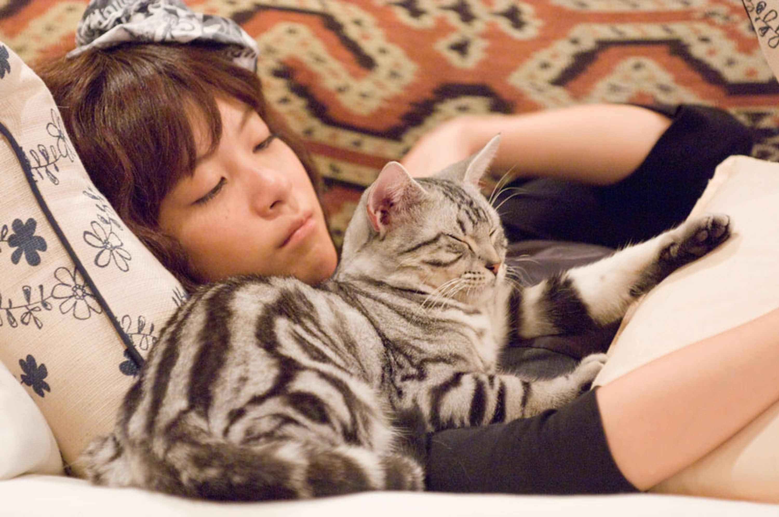 http://www.119127.cn/pics/default/download/5ac1db44a7455f88a5a6a0adabf8d2dd.jpg