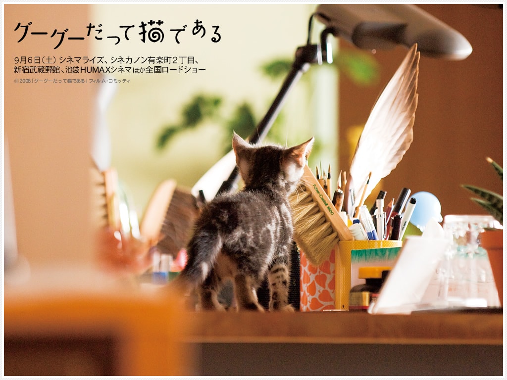 http://www.119127.cn/pics/default/download/5c6063706e9ae440ffd307422b076111.jpg