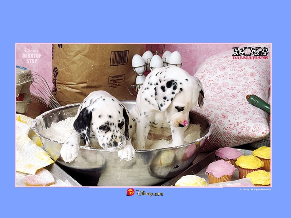 http://www.119127.cn/pics/default/download/5d30bfa4a5536ae826bcf7aafcbb392f.jpg