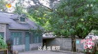 因為愛情有幸福 TV版 《因為愛情有幸?！沸煽趯ふ易∷?老樓洋房藏故事