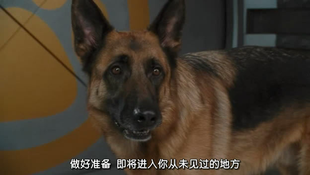 http://www.119127.cn/pics/default/download/5d9394ae209ab31701958c5b68843dfe.jpg