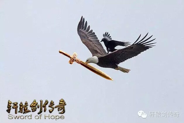 http://www.119127.cn/pics/default/download/5e664c1fd297097365f4c745daedec30.jpg