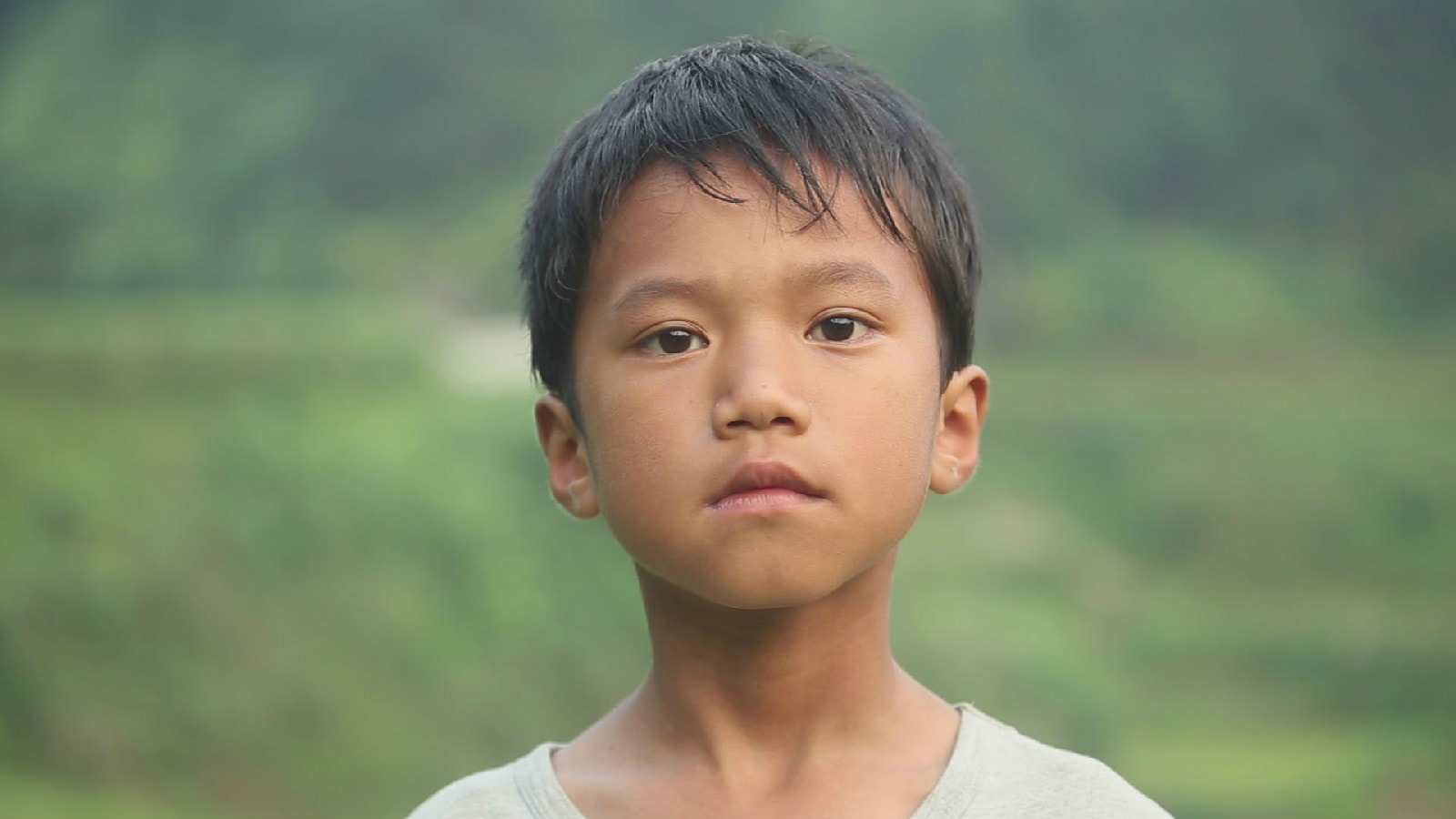 http://www.119127.cn/pics/default/download/5efafa0bab36323476fc810da4921b91.jpg