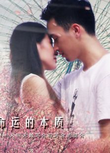 消失的愛(ài)情