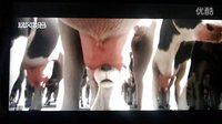 實(shí)拍-一禽獸大庭廣眾下猥瑣襲胸?cái)?shù)十位女性后揚(yáng)長(zhǎng)而去