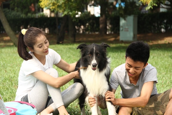 http://www.119127.cn/pics/default/download/63aa136c02914c83bd993ddb23bf6d69.jpg
