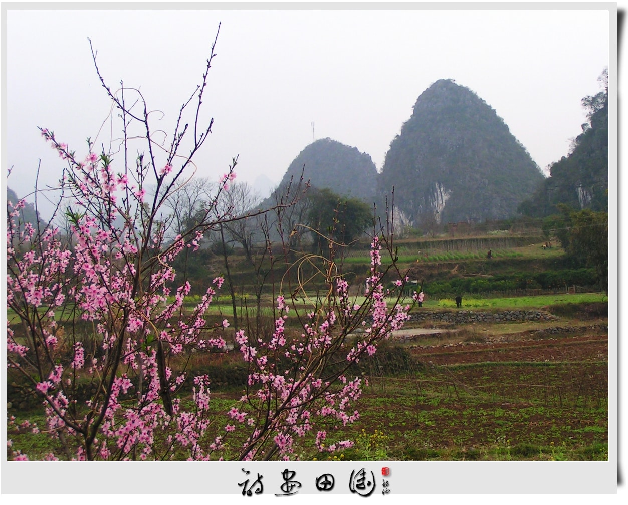 http://www.119127.cn/pics/default/download/651a99aa891b040c0d680e2caebe4c39.jpg