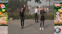 新概念廣場舞【越跳越美】字幕；演示；張麗麗，野丫頭