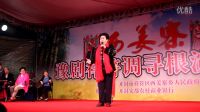豫劇祥符調(diào)尋根演唱會——豫劇祥符調(diào)元老級藝術(shù)家王素君講話和唱段