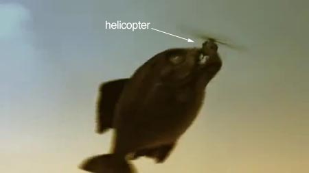 http://www.119127.cn/pics/default/download/67d294a561a490338e0e9d4deecaba09.jpg