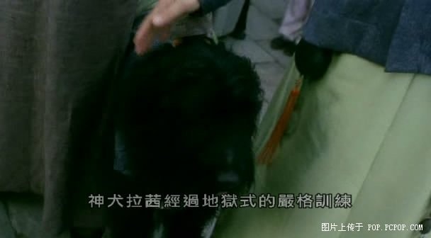 http://www.119127.cn/pics/default/download/68b4d93f89a27ee1761afa1000fba0ba.jpg