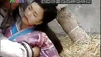 劍行天下28——花如夢(mèng)_標(biāo)清