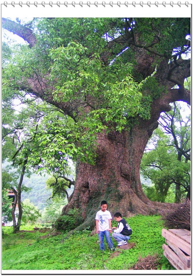 http://www.119127.cn/pics/default/download/6a36a7c0b217607a2b18e3b6e1ec8865.jpg