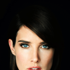 寇碧·史莫德斯Cobie Smulders