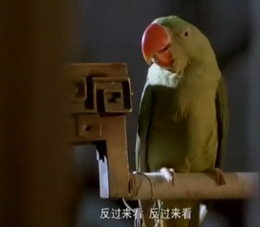 http://www.119127.cn/pics/default/download/6dd530501516442e9c4697356f3f4f0a.jpg