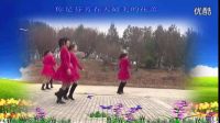 代萍廣場舞花兒妹妹（編舞代萍）雙人對跳。正反面分解_標清
