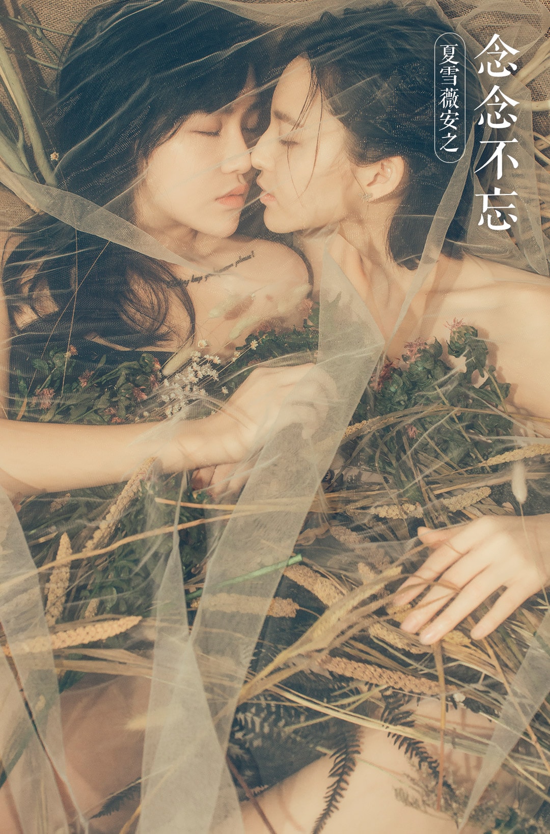 http://www.119127.cn/pics/default/download/6f645cc843de653786c035bb5cf5a282.jpg