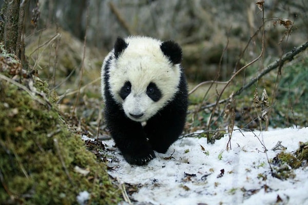 http://www.119127.cn/pics/default/download/7014af1f9a6e00a1c211ec289c0b66f6.jpg