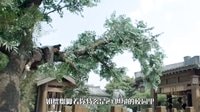 劇能扯 放膽噴 2015 《秦時(shí)明月》現(xiàn)代臺(tái)詞太跳戲 蔣勁夫化身自high王狂喊:我很帥