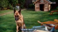 離家出走很久的狗狗突然出現(xiàn)在身后的那種感覺誰懂