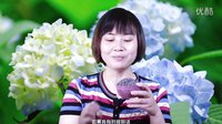 護(hù)膚步驟薰衣草精油的提取及使用方法快速化妝