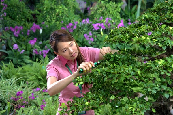 http://www.119127.cn/pics/default/download/72aea0053842e72ab670ed31c54279a4.jpg