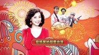 湖南經視《野火春風逗古城》宣傳片之群星拜年篇