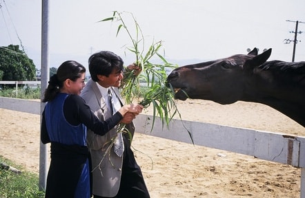 http://www.119127.cn/pics/default/download/75e29562195817cb999f03c5b9e75d15.jpg